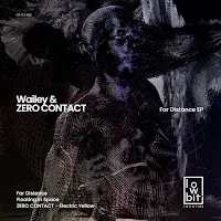 Wailey — Far Distance Ft Zero Contact — обложка
